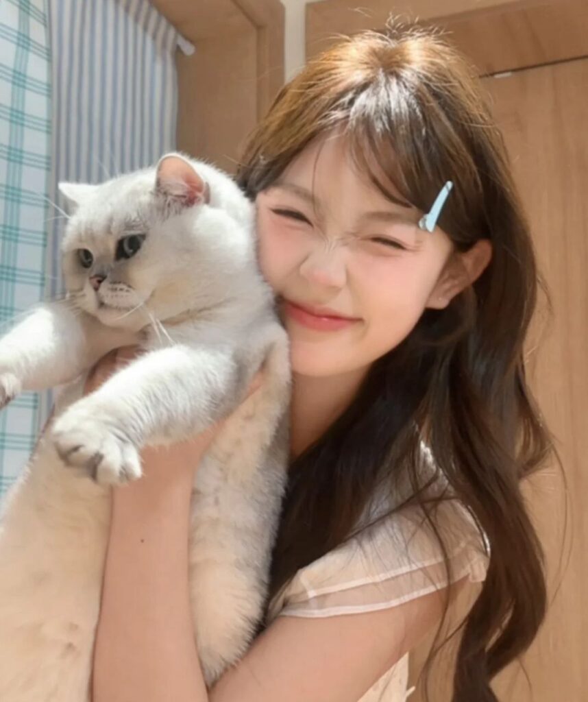 青岛包养豆瓣小组